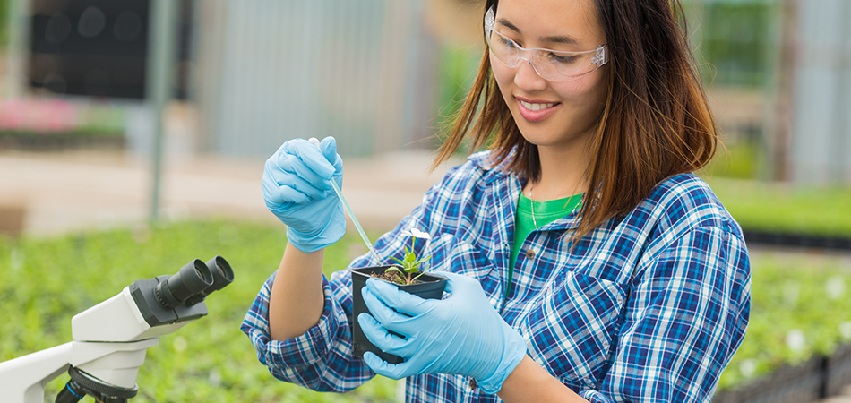 AgriFood Training Partnership brand image of a scientist working with plants