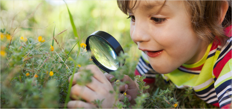 Countryside Classroom – a child exploring the natural environment