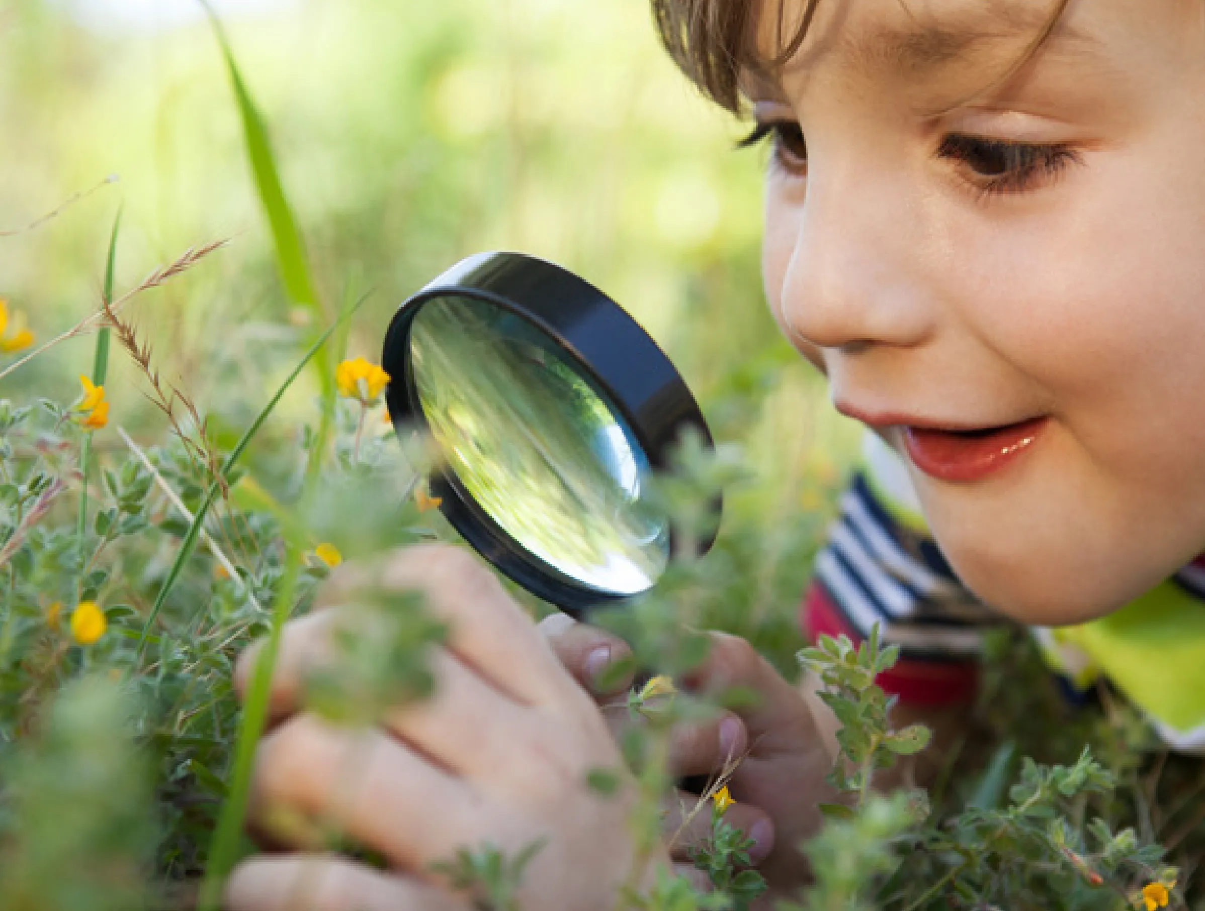 Child inspecting flowers with a microscope